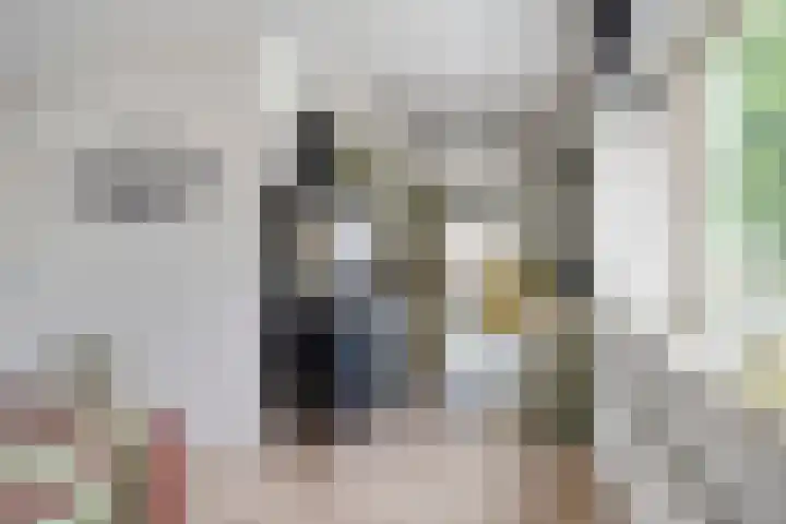 Javastraat 11 Arnhem thumbnail 12