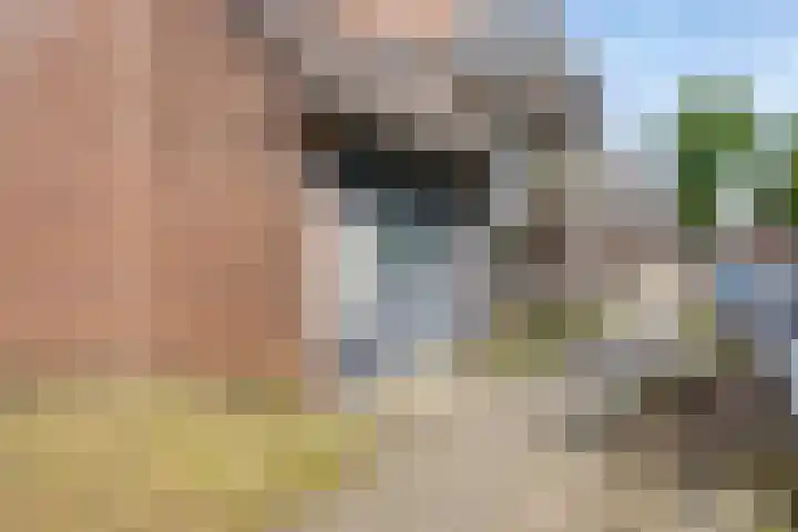 Javastraat 11 Arnhem thumbnail 27