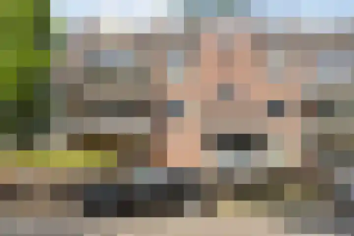 Javastraat 11 Arnhem thumbnail 32
