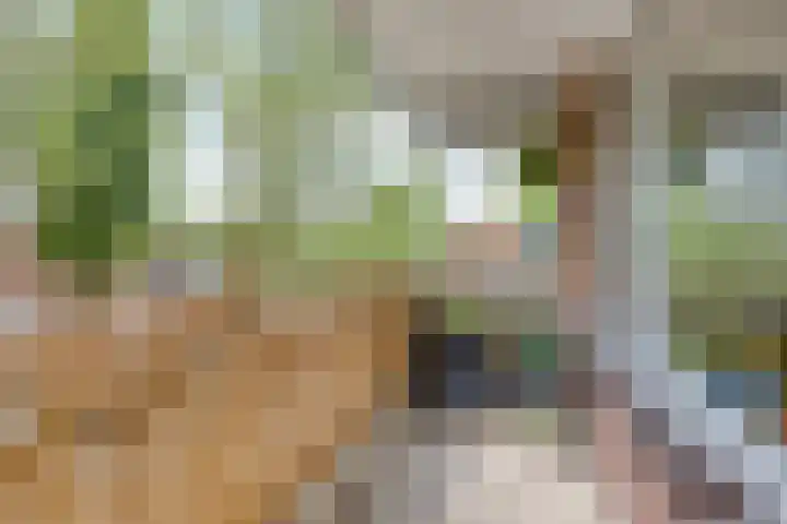 Javastraat 11 Arnhem thumbnail 8