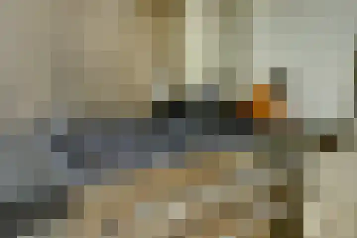 Javastraat 11 Nijmegen thumbnail 18