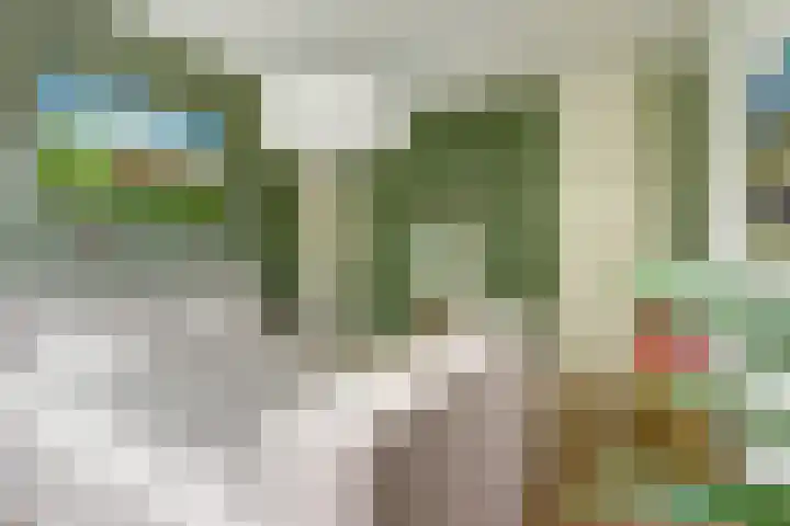 Javastraat 11 Nijmegen thumbnail 26