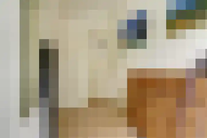 Javastraat 11 Nijmegen thumbnail 32