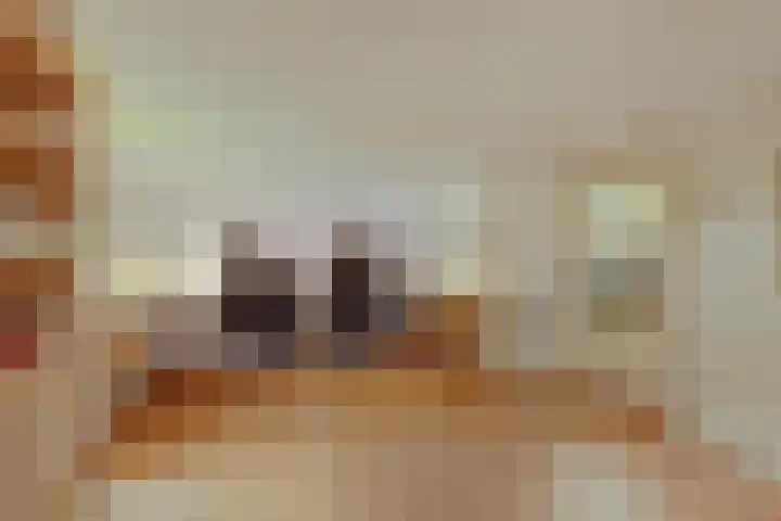 Javastraat 11 Nijmegen thumbnail 33