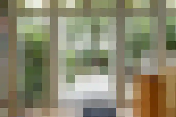 Javastraat 11 Nijmegen thumbnail 5