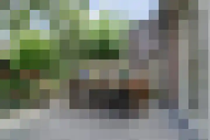 Javastraat 11 Nijmegen thumbnail 60