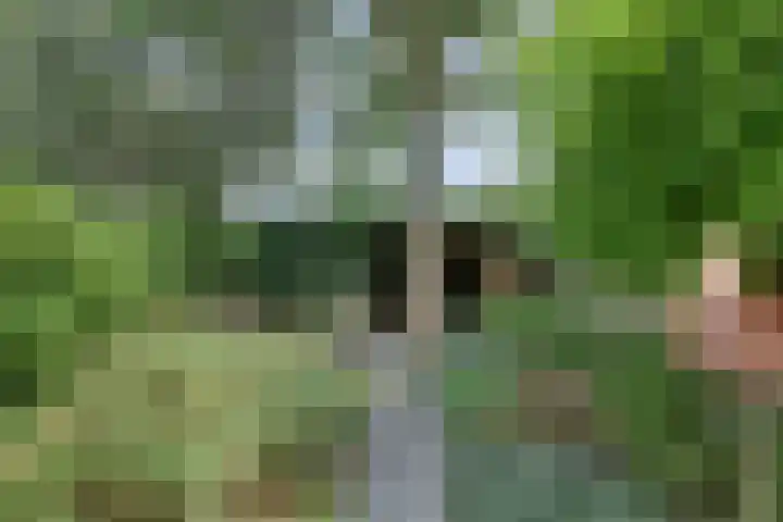 Javastraat 11 Nijmegen thumbnail 61