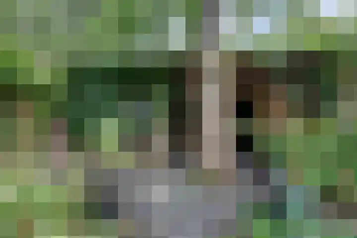 Javastraat 11 Nijmegen thumbnail 62