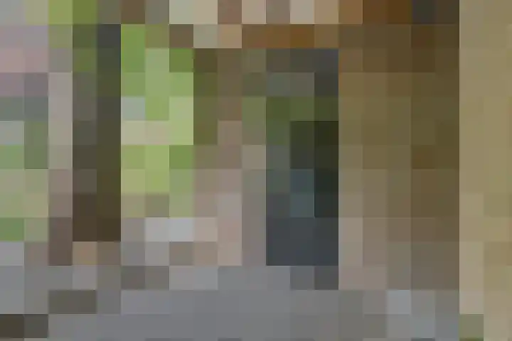Javastraat 11 Nijmegen thumbnail 63