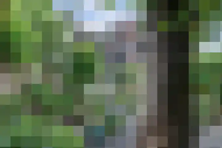 Javastraat 11 Nijmegen thumbnail 64