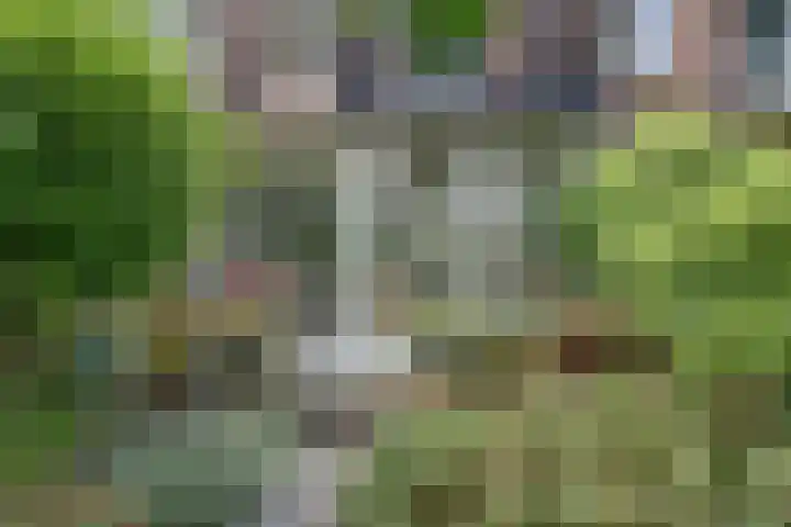 Javastraat 11 Nijmegen thumbnail 65