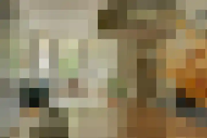 Javastraat 11 Nijmegen thumbnail 7