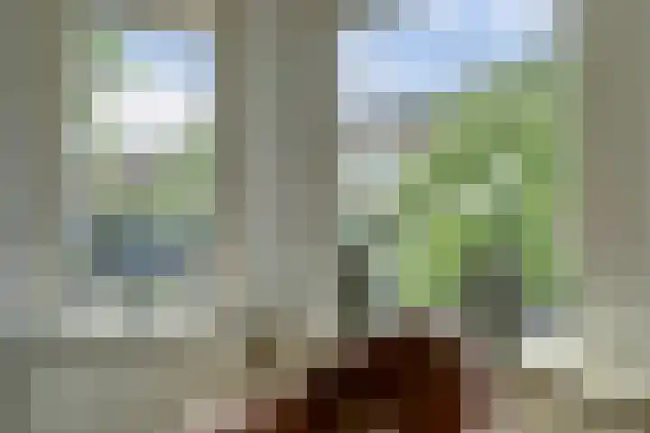 Javastraat 11 Nijmegen thumbnail 8