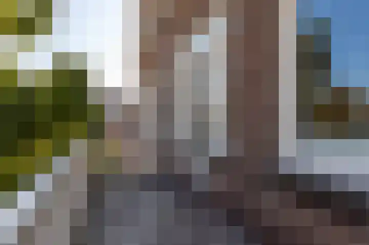 Javastraat 110 A Den Haag thumbnail 14