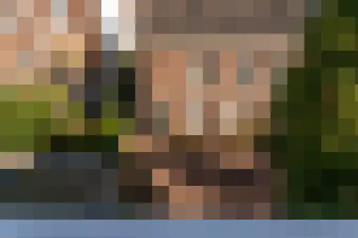 Javastraat 110 A Den Haag thumbnail 15