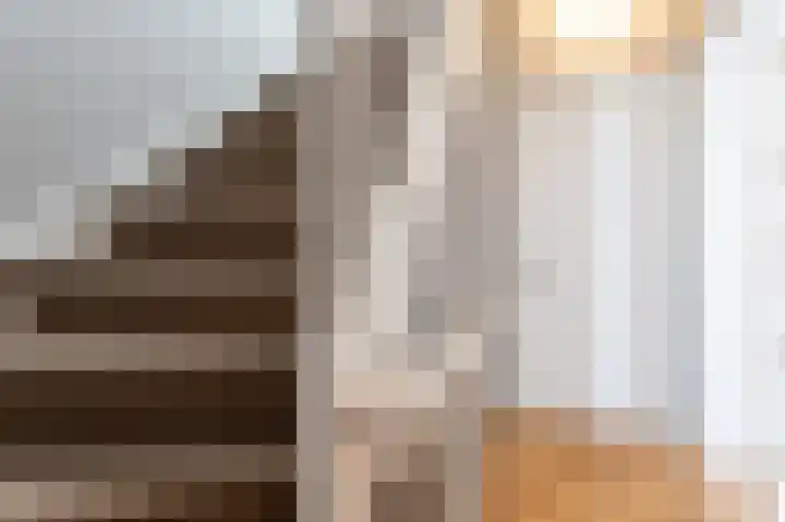 Javastraat 110 A Den Haag thumbnail 16