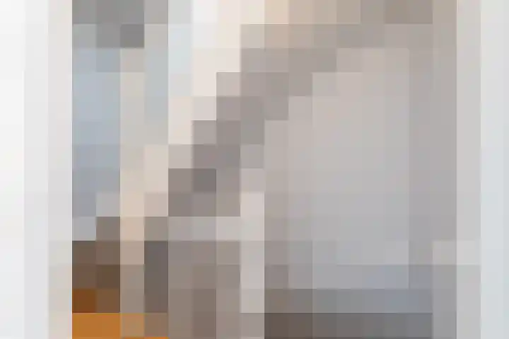 Javastraat 110 A Den Haag thumbnail 17