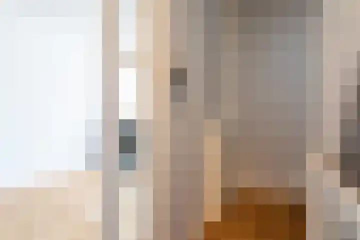 Javastraat 110 A Den Haag thumbnail 19