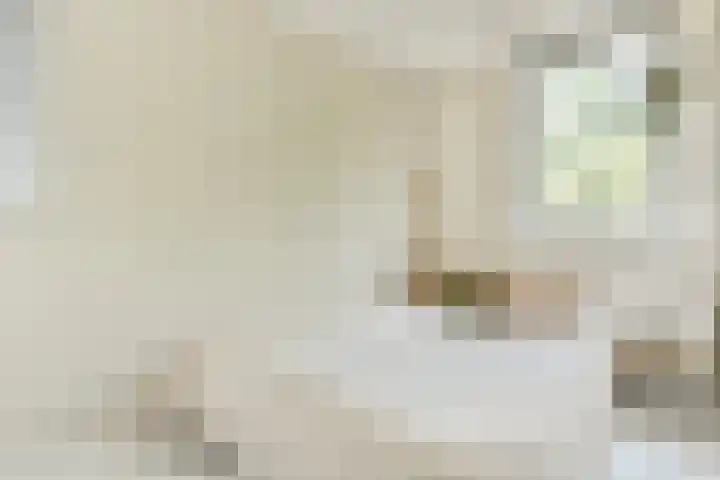 Javastraat 111 1 Amsterdam thumbnail 16