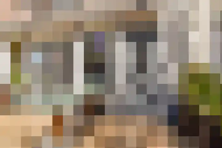 Javastraat 111 1 Amsterdam thumbnail 18