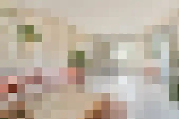 Javastraat 111 1 Amsterdam thumbnail 7