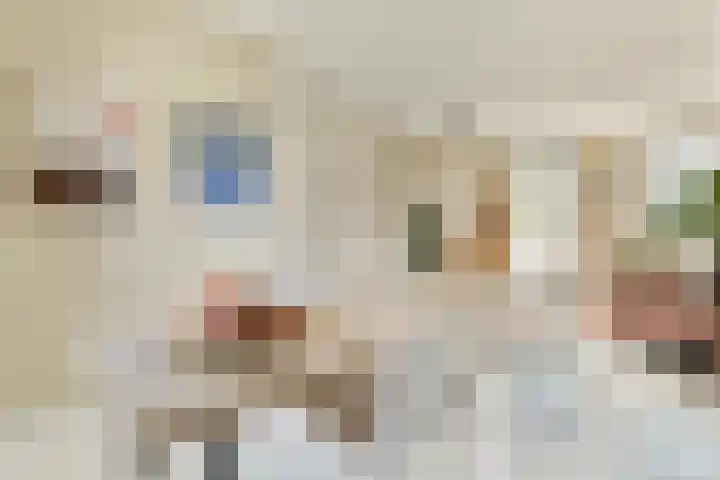 Javastraat 111 1 Amsterdam thumbnail 8