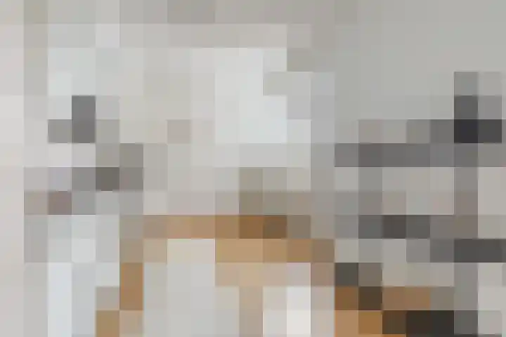 Javastraat 112 3 Amsterdam thumbnail 10