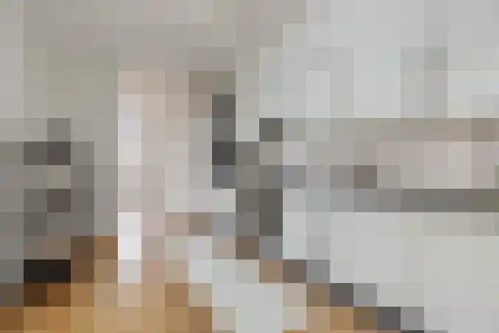 Javastraat 112 3 Amsterdam thumbnail 11