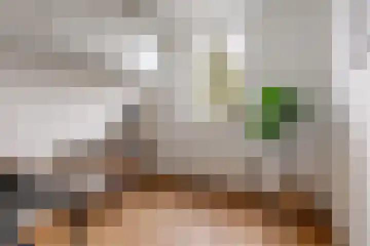 Javastraat 112 3 Amsterdam thumbnail 12