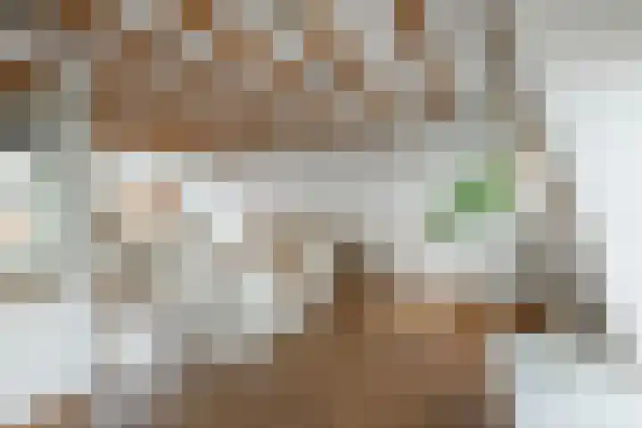 Javastraat 112 3 Amsterdam thumbnail 15