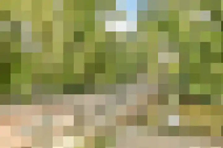 Javastraat 112 3 Amsterdam thumbnail 33