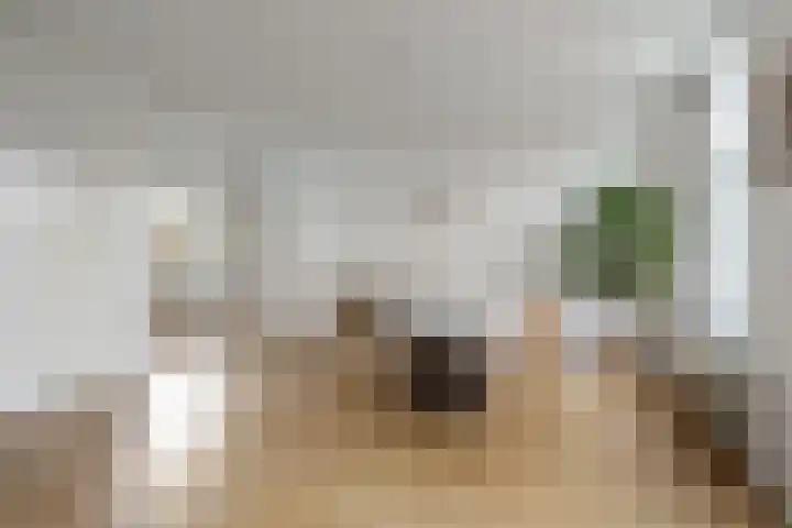 Javastraat 112 3 Amsterdam thumbnail 6