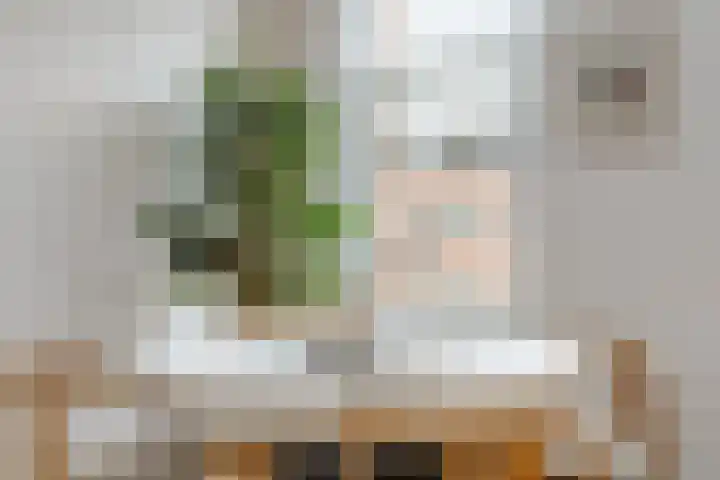 Javastraat 112 3 Amsterdam thumbnail 9