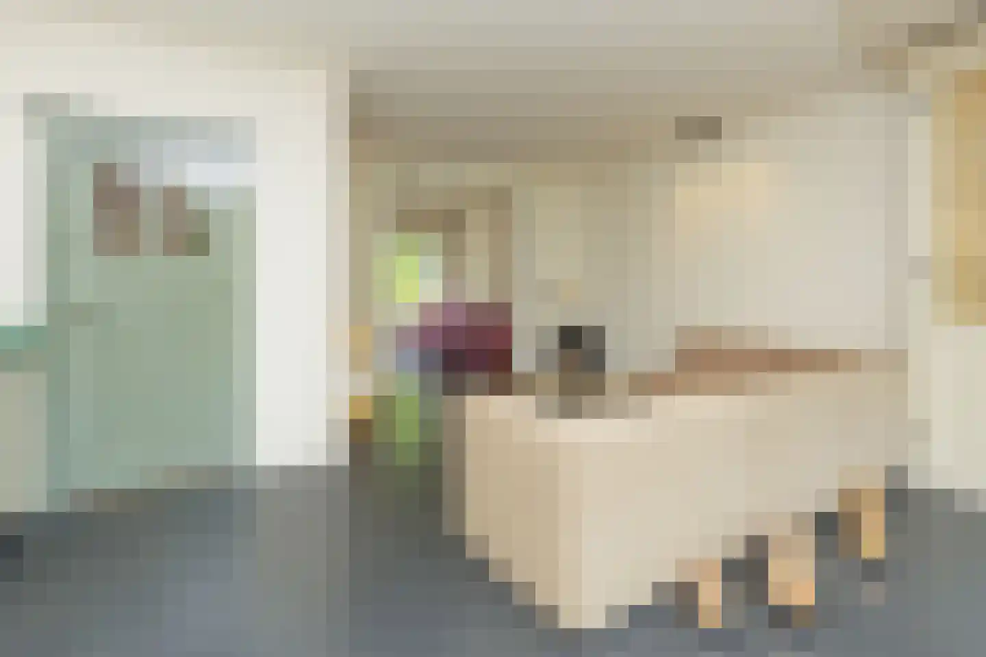 Javastraat 112 Nijmegen thumbnail 13
