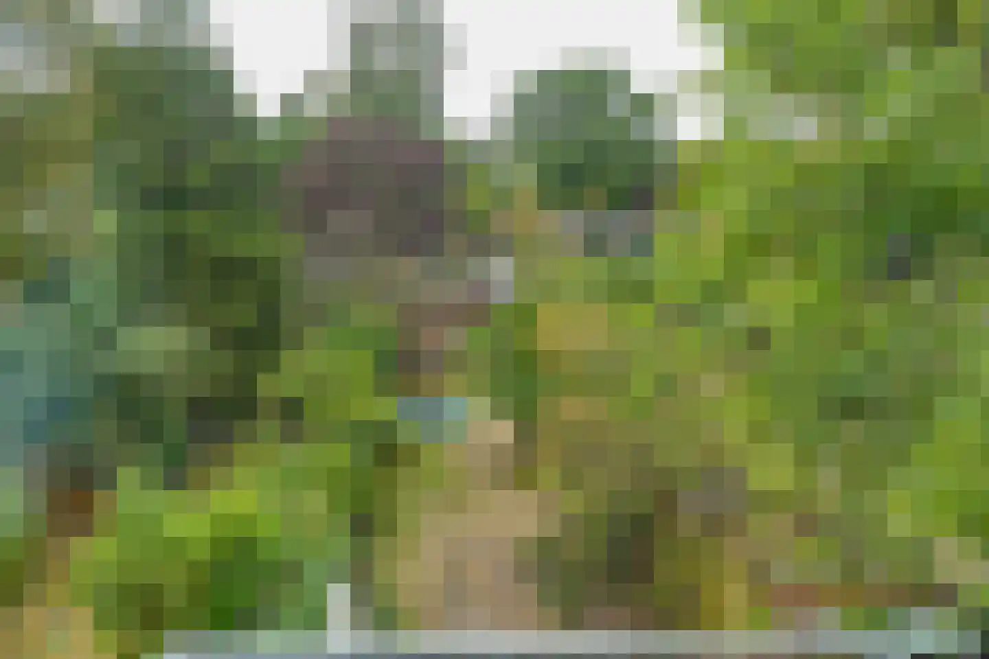 Javastraat 112 Nijmegen thumbnail 44
