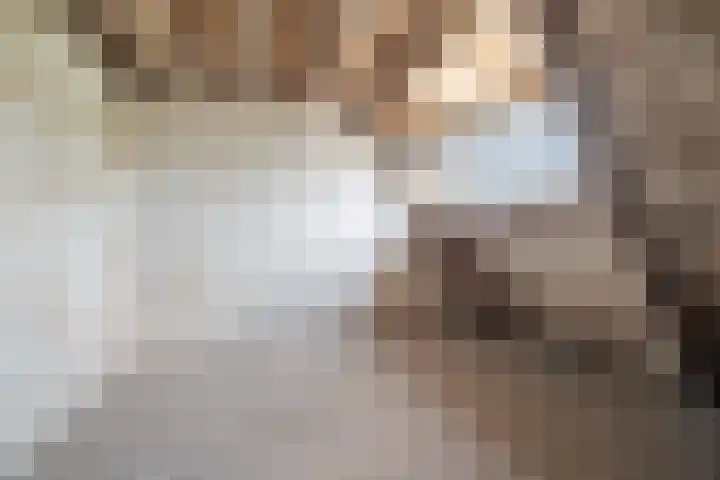 Javastraat 115 2 Amsterdam thumbnail 18