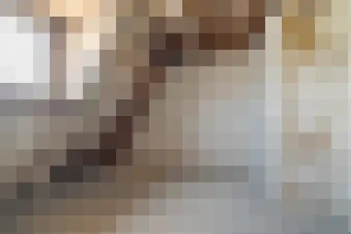 Javastraat 115 2 Amsterdam thumbnail 19