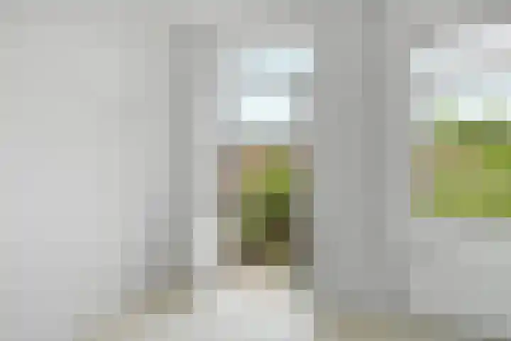 Javastraat 115 2 Amsterdam thumbnail 8