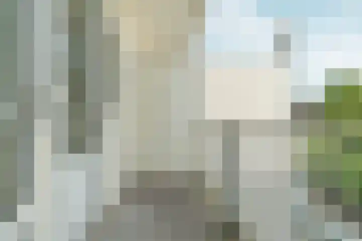 Javastraat 115 2 Amsterdam thumbnail 9