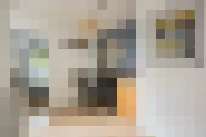 Javastraat 119 1 Amsterdam thumbnail 10