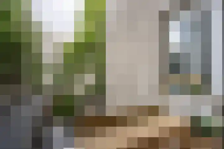 Javastraat 119 1 Amsterdam thumbnail 13