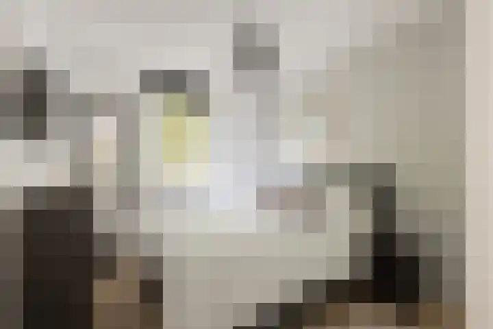 Javastraat 119 1 Amsterdam thumbnail 14