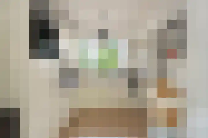 Javastraat 119 1 Amsterdam thumbnail 6