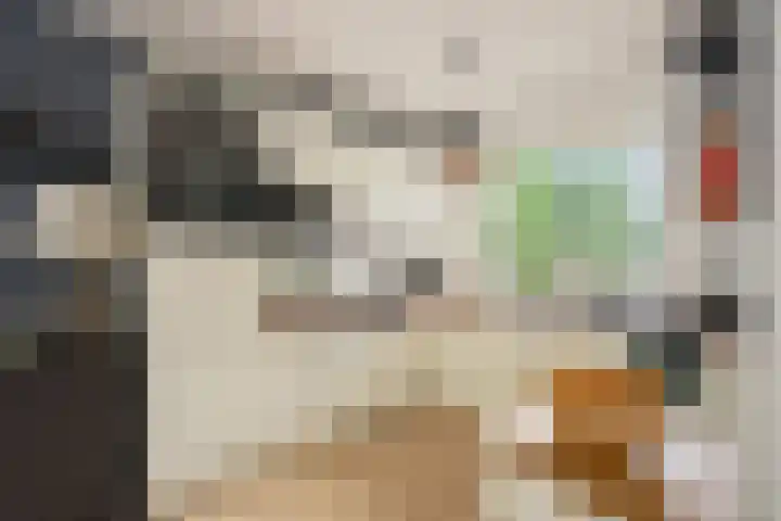 Javastraat 119 1 Amsterdam thumbnail 7