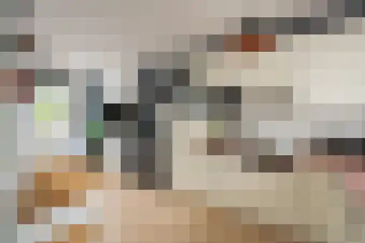 Javastraat 119 1 Amsterdam thumbnail 9