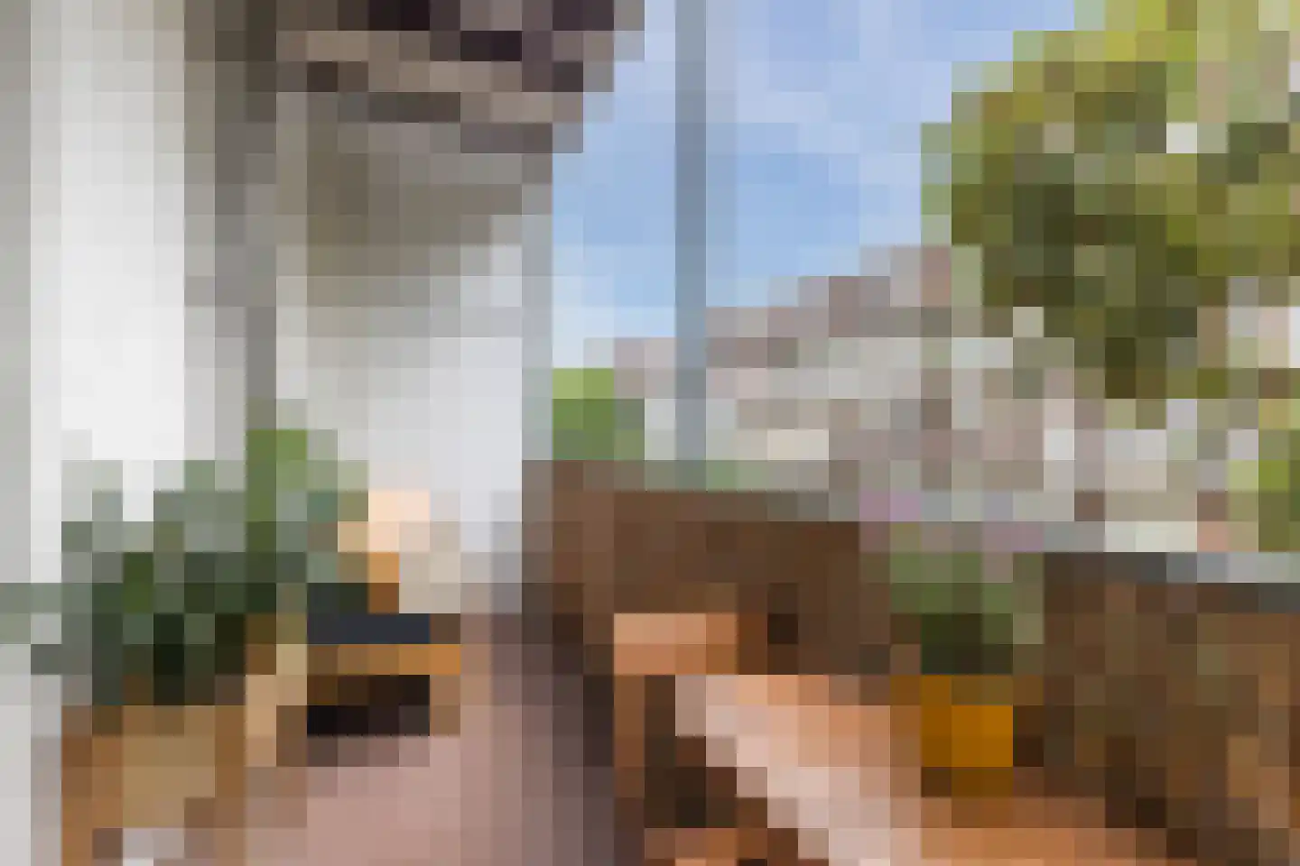Javastraat 12 2 Amsterdam thumbnail 21
