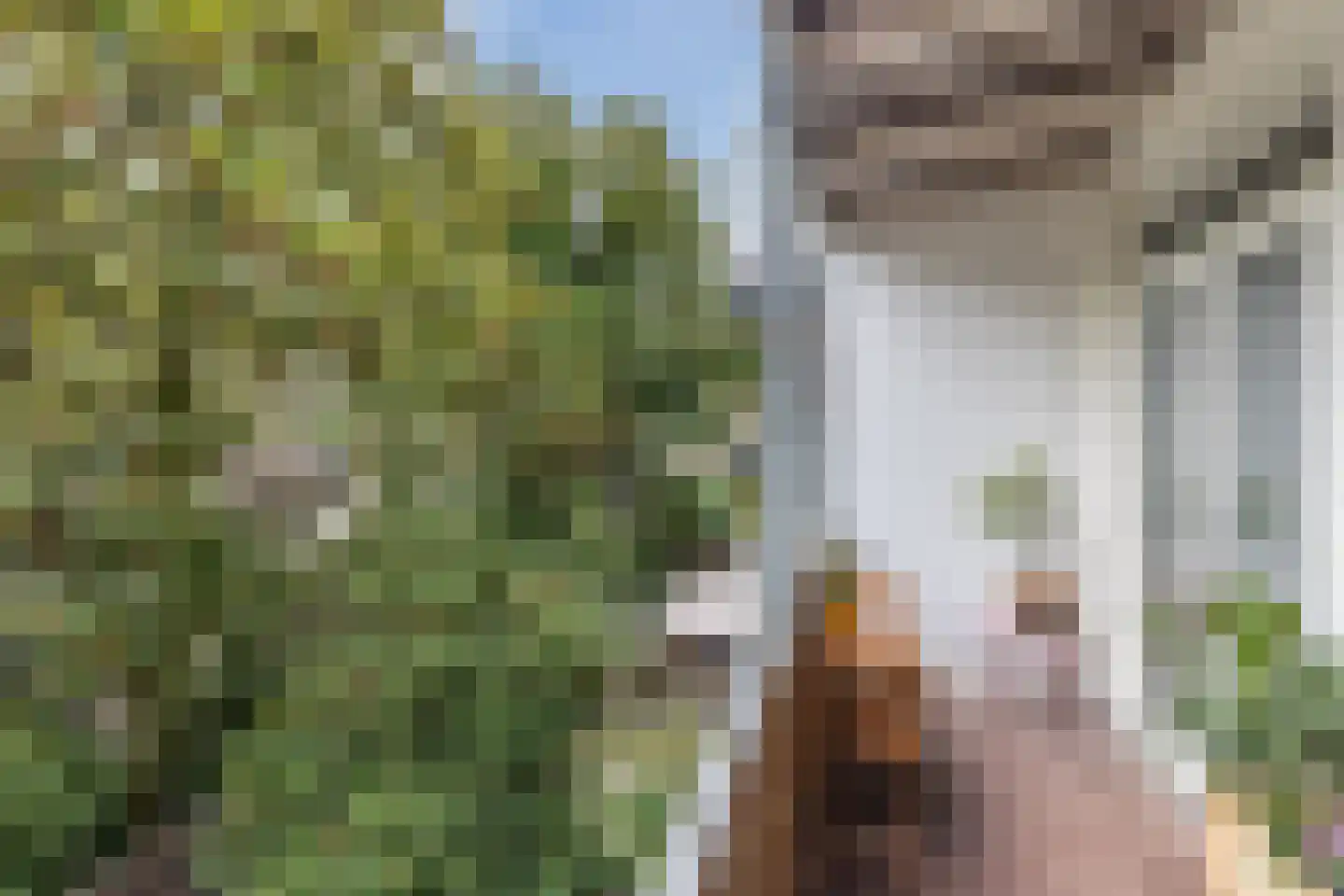 Javastraat 12 2 Amsterdam thumbnail 23