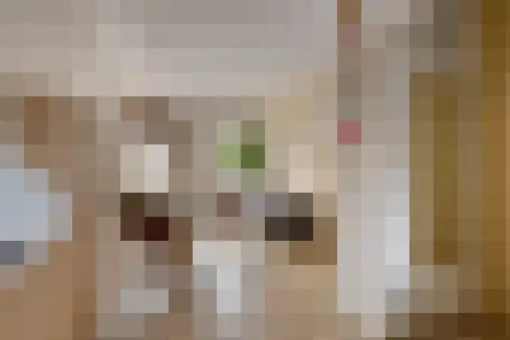 Javastraat 121 H Amsterdam thumbnail 10