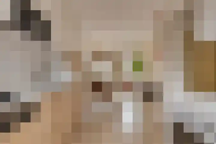 Javastraat 121 H Amsterdam thumbnail 13