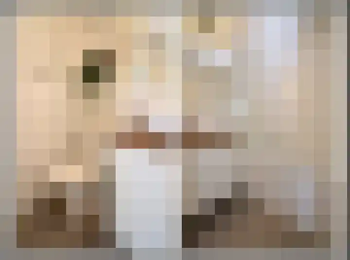 Javastraat 121 H Amsterdam thumbnail 14